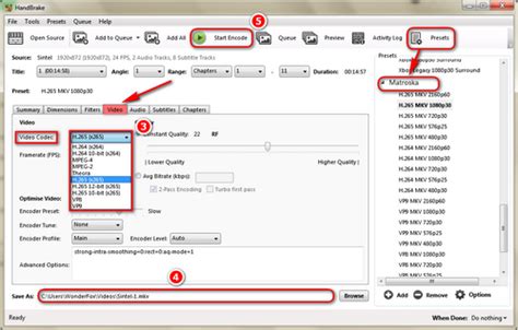Handbrake H265 .